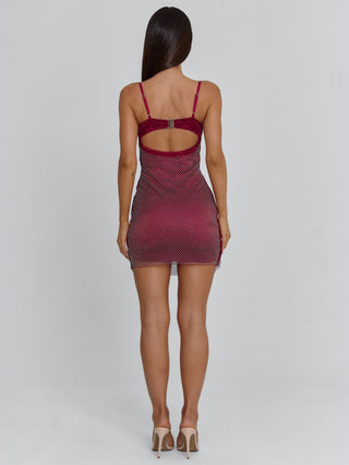 BONJOUR MINI DRESS BURGUNDY Mini Dress 