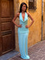 DELFINA MAXI DRESS BLUE Maxi Dress 