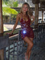 FREYA MINI DRESS BURGUNDY Mini Dress 