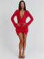 JOLENE MINI DRESS RED Mini Dress 