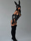 JUPITER BODYSUIT BLACK Bodysuit 