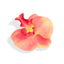 ORCHID FLOWER PEACH Accessories 