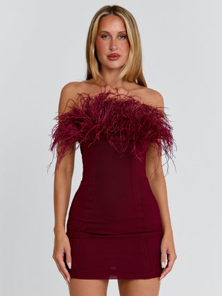 SHONA MINI DRESS BURGUNDY Mini Dress 