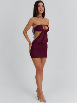 VERITY MINI DRESS WINE Mini Dress 